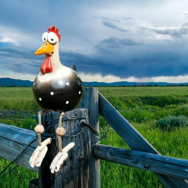 Gartendeko Huhn | Gartenstecker aus hochwertigen Materialien - Einzigartigster Blickfang des Jahres