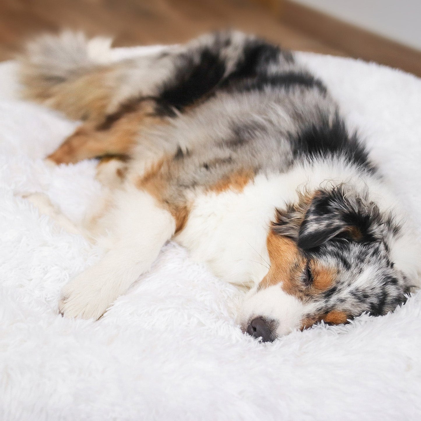DogBed | Bequemes Hundebett | Ultimativer Komfort | Sicherheit und Schutz